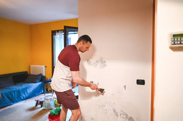 Best DIY Mold Remediation Support Services in Taos, NM